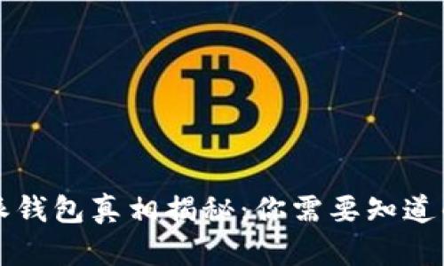 比特派钱包真相揭秘：你需要知道的一切