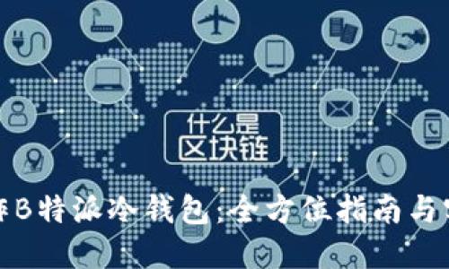 如何制作B特派冷钱包：全方位指南与实用技巧