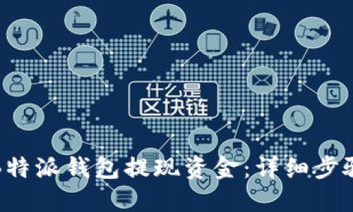 如何从B特派钱包提现资金：详细步骤与技巧