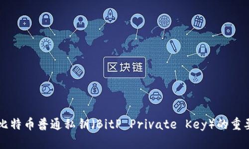 深入了解比特币普通私钥（BitP Private Key）的重要性与使用