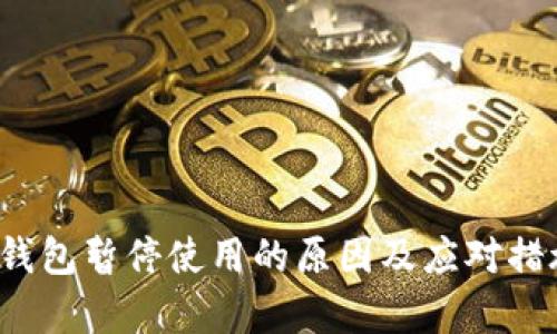  数字钱包暂停使用的原因及应对措施分析