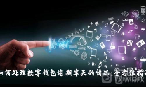 如何处理数字钱包逾期半天的情况：全方位指南