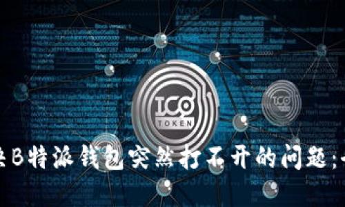 如何解决B特派钱包突然打不开的问题：全面指南