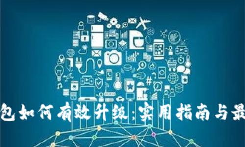数字钱包如何有效升级：实用指南与最佳实践