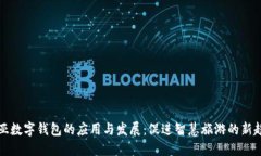 三亚数字钱包的应用与发展：促进智慧旅游的新