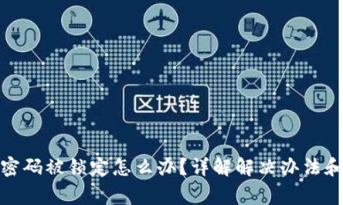 数字钱包密码被锁定怎么办？详解解决办法和常见问题