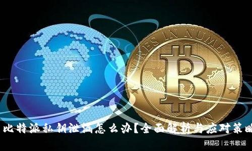 比特派私钥泄漏怎么办？全面解析与应对策略