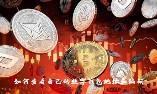 如何查看自己的数字钱包地址和编码