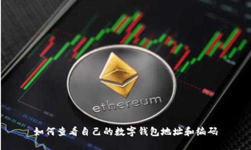 如何查看自己的数字钱包地址和编码