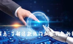 BitP钱包最新消息：了解这款热门加密钱包的软件
