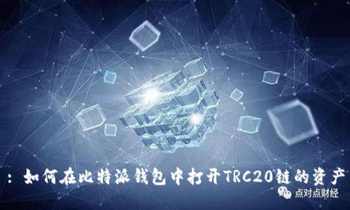 : 如何在比特派钱包中打开TRC20链的资产