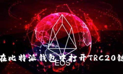 : 如何在比特派钱包中打开TRC20链的资产