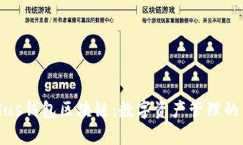 理解Plus钱包区块链：数字资产管理的新选择