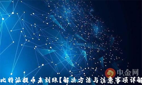 
比特派提币未到账？解决方法与注意事项详解