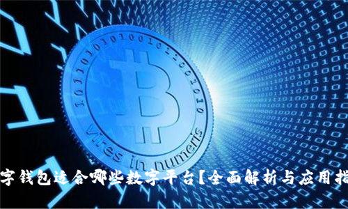数字钱包适合哪些数字平台？全面解析与应用指南