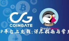 如何在BitP平台上充钱：详尽指南与常见问题解答