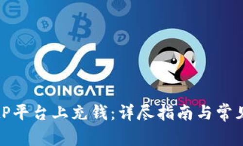 如何在BitP平台上充钱：详尽指南与常见问题解答