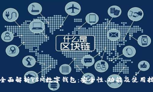 : 全面解析YSM数字钱包：安全性、功能及使用技巧