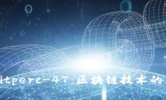 深度解析Bitperc-47：区块链技术的未来与挑战