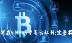 如何在BitPay中导出私钥：完整指导