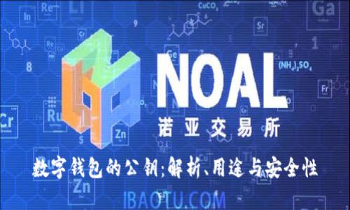数字钱包的公钥：解析、用途与安全性