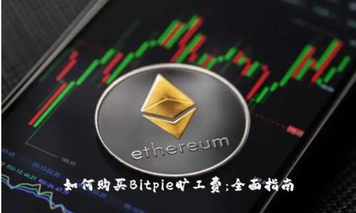 如何购买Bitpie旷工费：全面指南