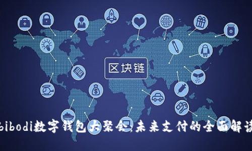 bibodi数字钱包大聚会：未来支付的全面解读