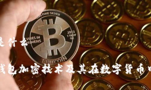 钱包加密是什么

深入解析钱包加密技术及其在数字货币中的重要性