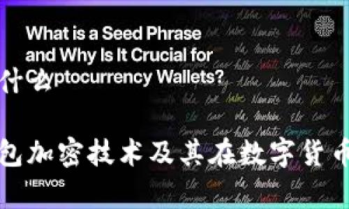 钱包加密是什么

深入解析钱包加密技术及其在数字货币中的重要性