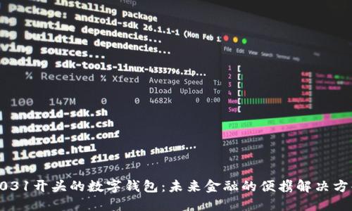 0031开头的数字钱包：未来金融的便携解决方案