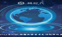 BitPay与BitP：理解加密货币支付处理的未来
