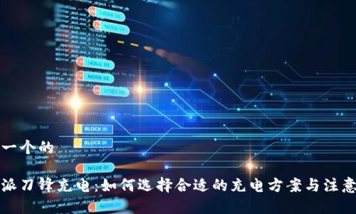 思考一个的

比特派刀锋充电：如何选择合适的充电方案与注意事项