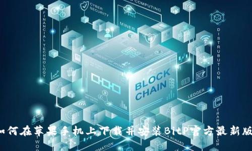 如何在苹果手机上下载并安装BitP官方最新版？