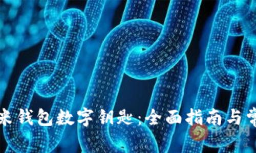 如何使用小米钱包数字钥匙：全面指南与常见问题解答
