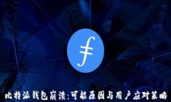 比特派钱包崩溃：可能原因与用户应对策略