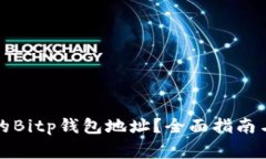 如何找回丢失的Bitp钱包地址？全面指南与常见问