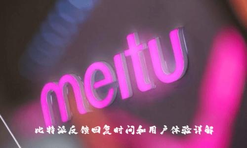 比特派反馈回复时间和用户体验详解