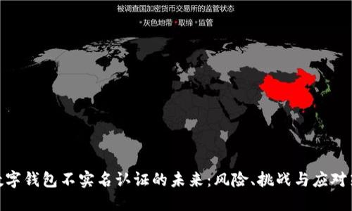 : 数字钱包不实名认证的未来：风险、挑战与应对策略