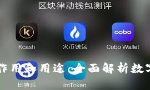 区块链钱包的作用和用途：全面解析数字资产管理工具