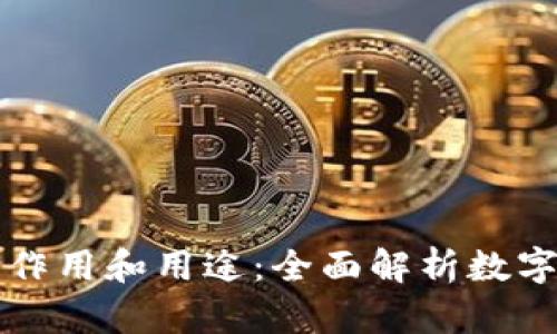 区块链钱包的作用和用途：全面解析数字资产管理工具