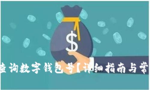 Title:如何查询数字钱包号？详细指南与常见问题解答