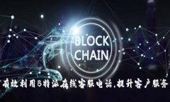 如何有效利用B特派在线客服电话，提升客户服务