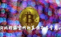 如何查询比特派官网的真伪及其常见问题解析