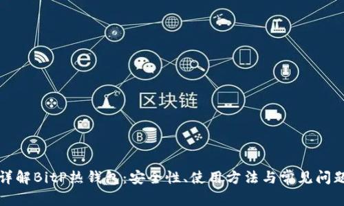 详解BitP热钱包：安全性、使用方法与常见问题