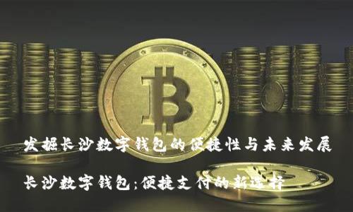 发掘长沙数字钱包的便捷性与未来发展

长沙数字钱包：便捷支付的新选择
