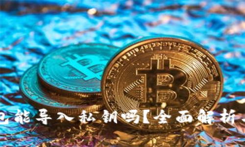 比特派钱包能导入私钥吗？全面解析与使用指南