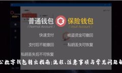 对公数字钱包转出指南：流程、注意事项与常见