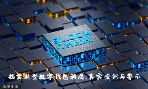 揭露新型数字钱包骗局：真实案例与警示