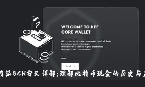 比特派BCH分叉详解：理解比特币现金的历史与未来