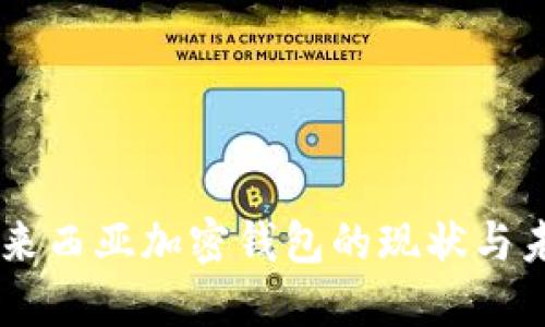 了解马来西亚加密钱包的现状与未来展望